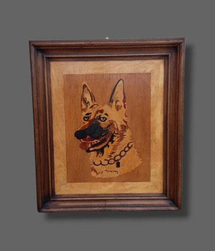 Quadro cane pastore - pastore, tedesco