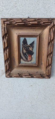 Todini antico cane pastore - todini,