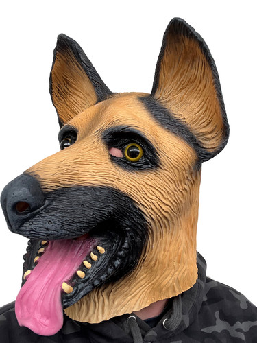 Pastore tedesco alsatian - tedesco, cane