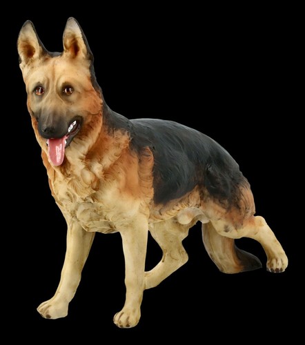 Cani figura tedesco - cani,